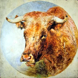 Chef för en Longhorn Cow