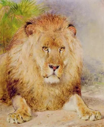 Lejon