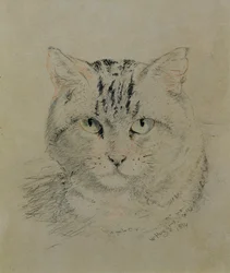 Tabby Cat, 1874 (penna, krita och kol på papper)