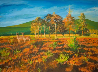 Nej. Aviemore, Skottland (olja ombord)
