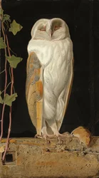 Den vita ugglan: "Ensam och värmer sina fem förstånd, sitter den vita ugglan i klockstapeln", 1856