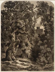 Landskap