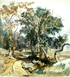 A Woodland Track (penna och akvarell på papper)