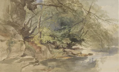 Ansikte i Stapleton Wood, nära Bristol