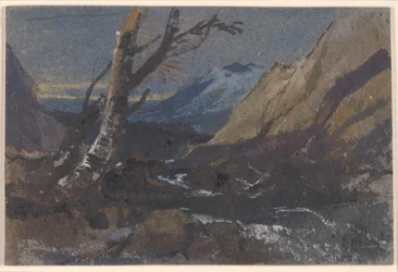 Studie av träd vid en bergsbäck