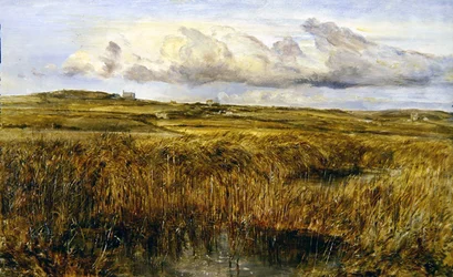 Rhoscolyn, Anglesey (olja på tavla)