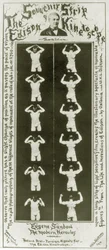 Souvenirremsan av Edison Kinetoscope Eugene Sandow, den moderna Hercules, c.1894 bw foto