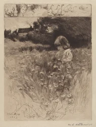 Lilla Rödluvan