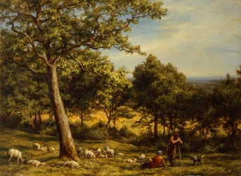 En herde och hans flock i ett solbelyst skogslandskap