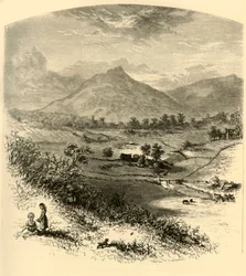 "Topparna av Otter", 1872.