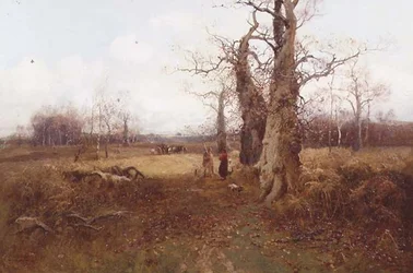Höstlandskap
