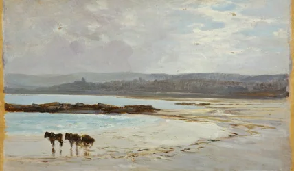 Strand vid lågvatten: Kväll