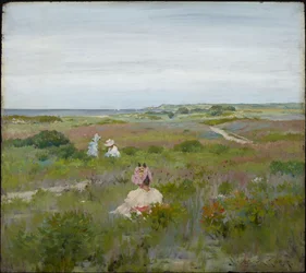 Landskap: Shinnecock, Long Island