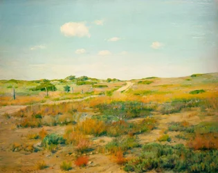 Shinnecock Hills
