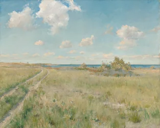 Den gamla vägen till havet, ca. 1893.