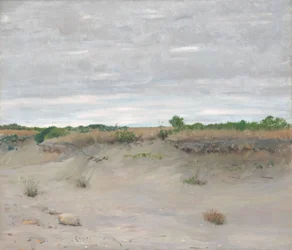 Vindpinade sandar