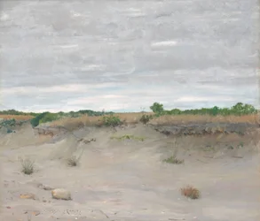 Vindpinade sandar