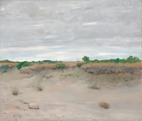 Vindavvisande sandstrand