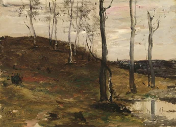 Hillside med träd