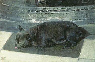 Napoleon