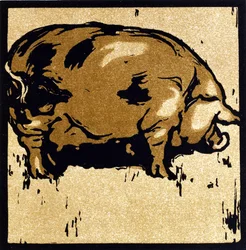 The Learned Pig, från 