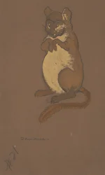 Dormus kostymdesign för Alice-in-Wonderland, 1915.