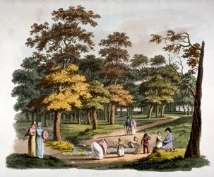 Vy över "doppningsbrunnen" i Hyde Park, Westminster, London, c1810
