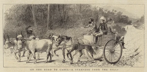 På vägen till Cabul, en stormsteg från kullarna