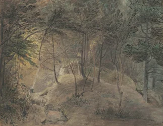 The View from the Springhouse at Echo, c.1808 (akvarell och bläck på vävt papper)