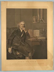 Porträtt av John Hunter