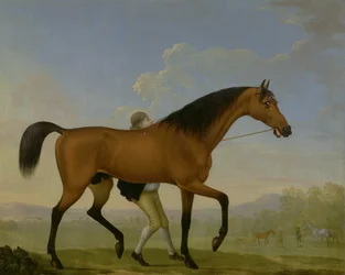 Hertigen av Ancasters Bay-hingst, blank, går mot ett sto