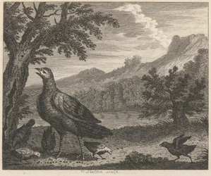 Kalkonen och myran