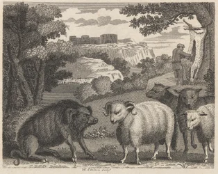 Vildsvinet och baggen