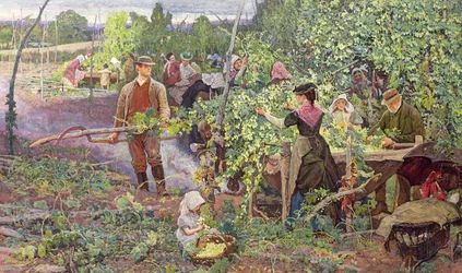 Humlplockare, ca 1870