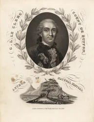 Porträtt av greve Georges Buffon inuti lagerkransen