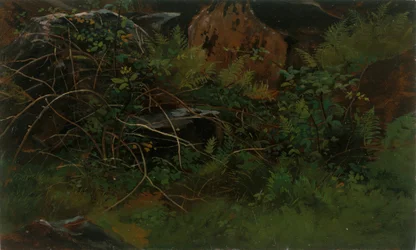 Studie från naturen.