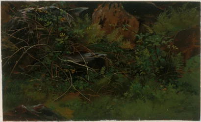 Studie efter naturen