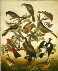 Fåglar, ca 1840 (olja på duk)