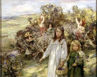 Samla björnbär (olja på duk)