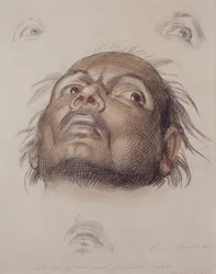 Studie av ett ostindiskt huvud, ca 1875 (krita och tvätt på papper)