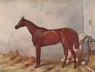 Eremit: vinnare av Derby Stakes i Epsom, 1867, 1903