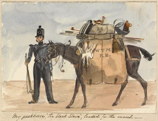 Min klövjehäst, ”den svarta slaven”, lastad för marschen, ca 1854