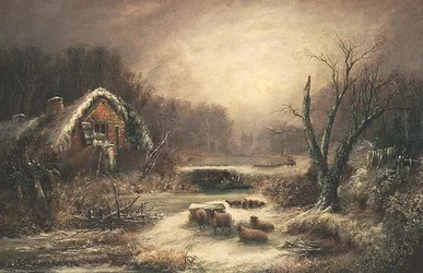 Ett trädbevuxet vinterlandskap