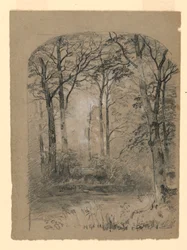 Landskap
