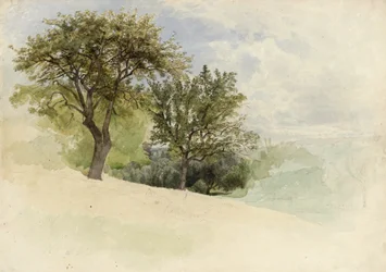 Landskab med træer på en bakkeskråning, 1880-85 (wc, grafit og strejf af hvid gouache på creme kraftigt vævet papir)