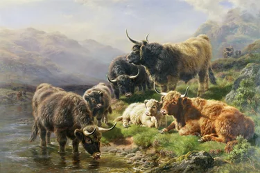 Höglandsboskap