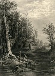 "The Chickahominy", 1872.