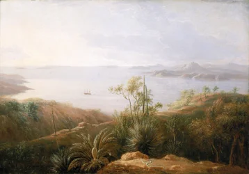En vik på Nya Hollands (Australien) sydkust, januari 1802, under Matthew Flinders (1774-1814) expedition på Investigator mellan 1801 och 1803, för att kartlägga de södra länderna, målaren var med på expeditionen