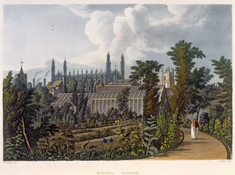 The Botanical Gardens, Cambridge, ur "The History of Cambridge", graverad av Joseph Constantine Stadler (fl.1780-1812), utgiven av R. Ackermann, 1815 (akvatint i färg).