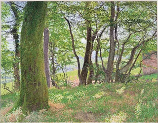 Carmarthenshire eftermiddag